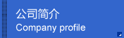 公司简介
